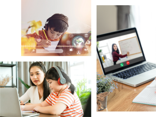 The Tutor Network - Authentic Education Hub